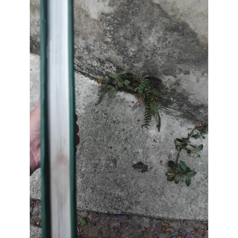 Tinh hoa mỹ thuật Việt truyền thống : hình tượng tiên nữ  1040684