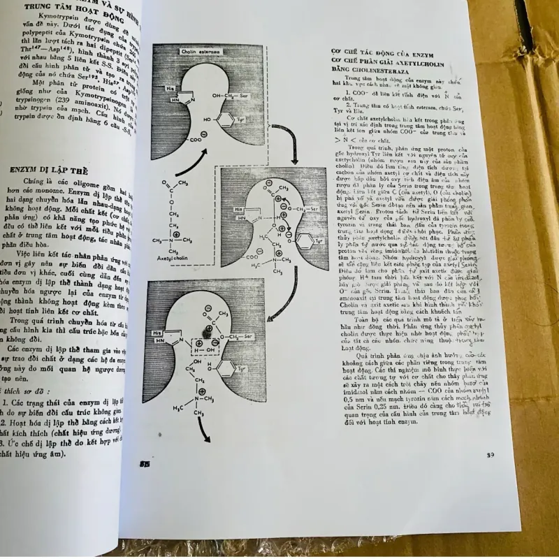 Sinh hoá học hiện đại theo sơ đồ  968702