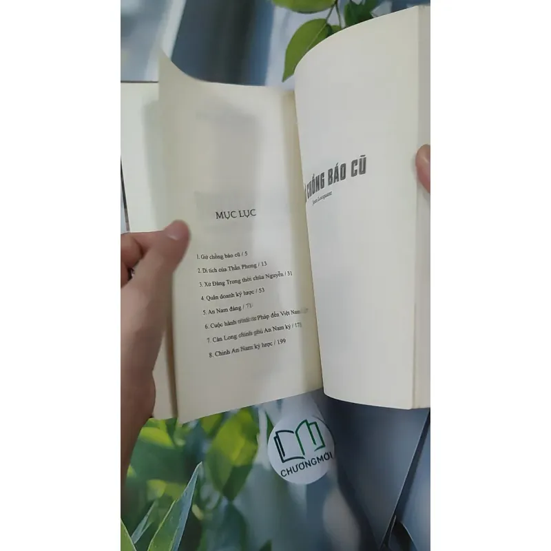 Đàng Trong Thời Chúa Nguyễn - Nguyễn Duy Chính 970274