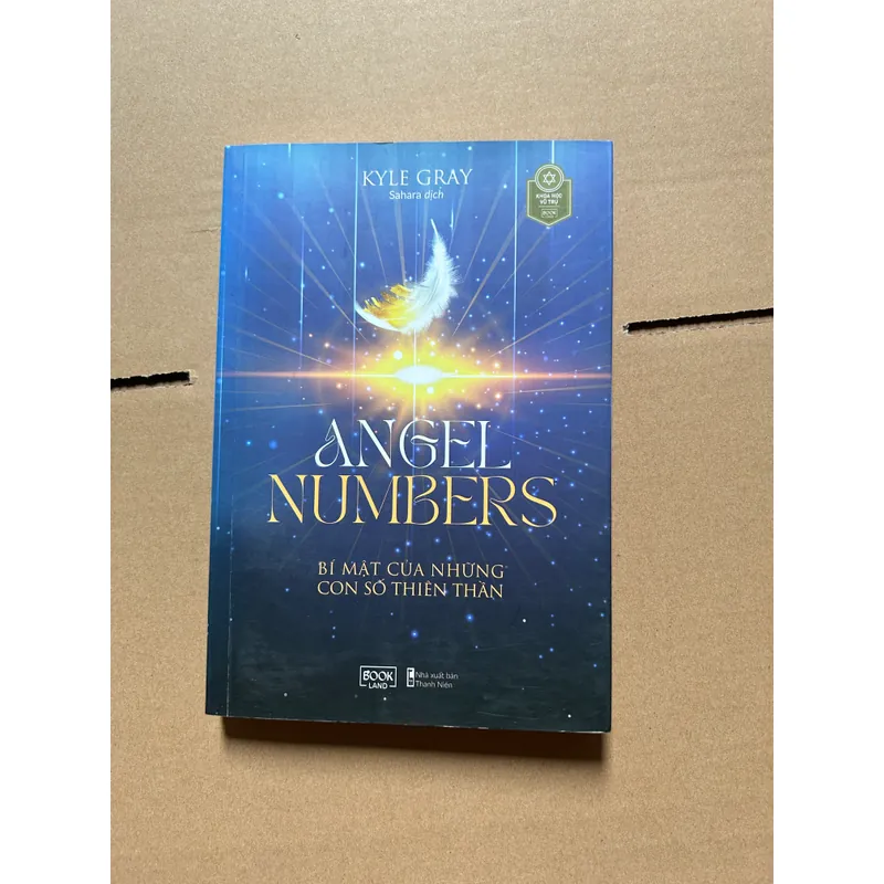 ANGEL NUMBERS bí mật của những con số 703338