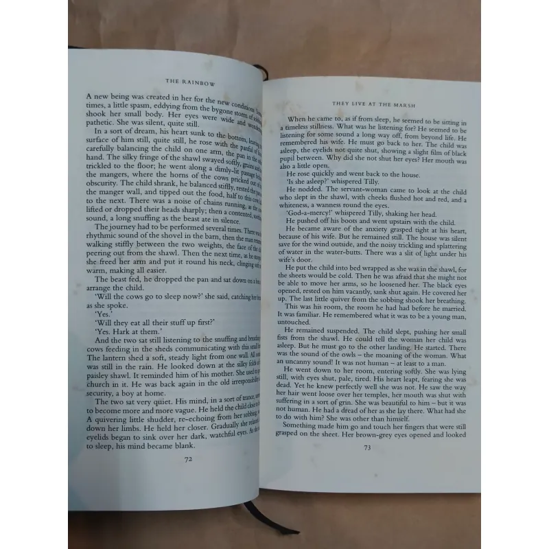 The Rainbow (Everyman's Library) - D.H.Lawrence 1004707