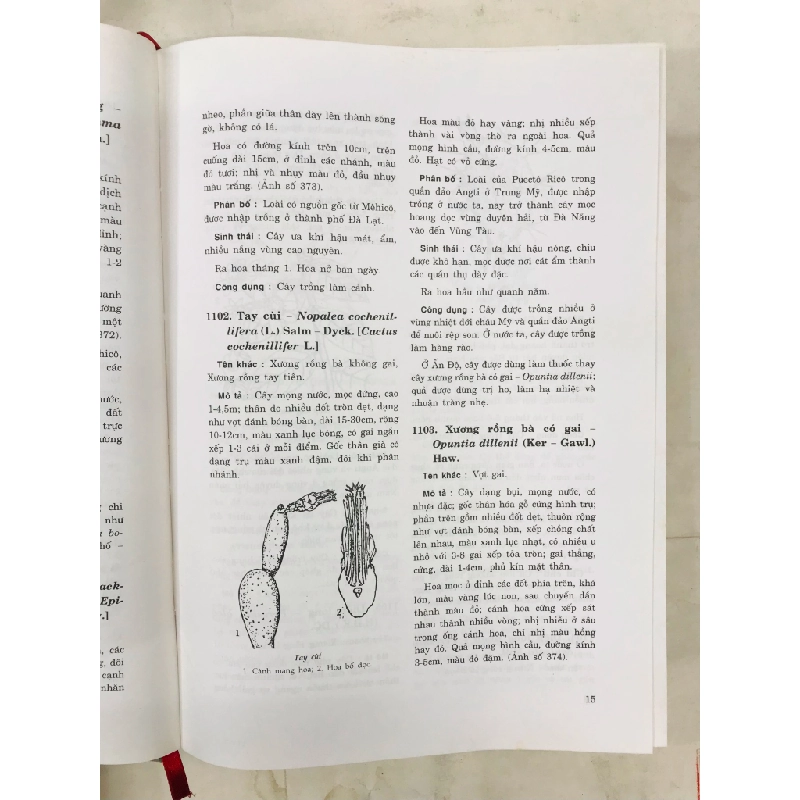 Cây cỏ có ích ở Việt Nam - Võ Văn Chi & Trần Hợp ( trọn bộ 2 tập ) 128165