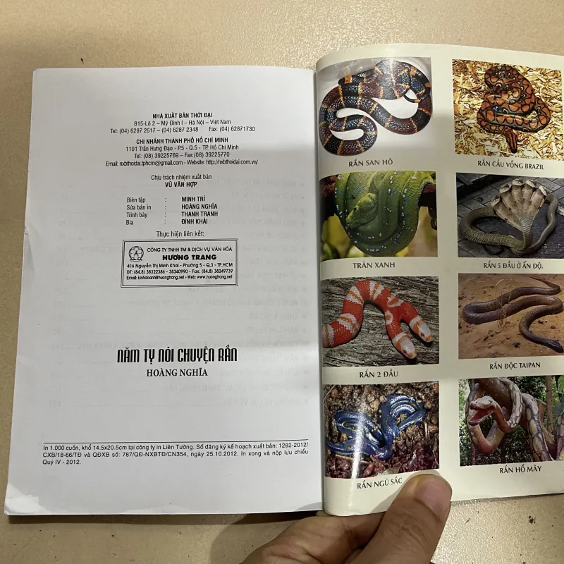 Năm Tỵ nói chuyện Rắn  (c47) 997459