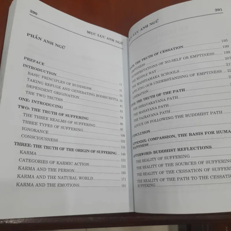 Nền tảng những lời Phật dạy: TỨ DIỆU ĐẾ 929629