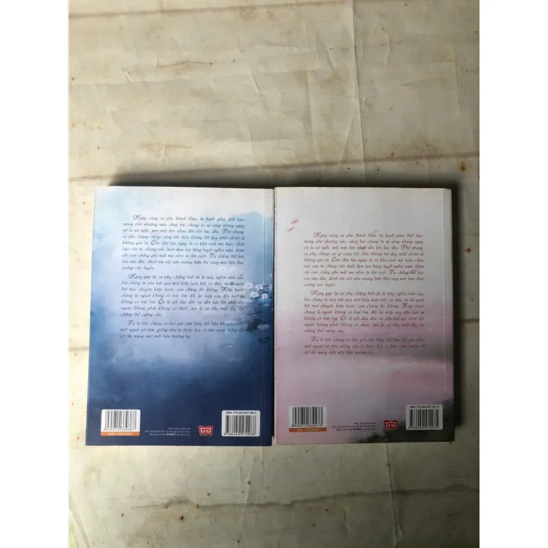 Combo Trường Hận (Bộ 2 Cuốn) - Đạm Anh 800721