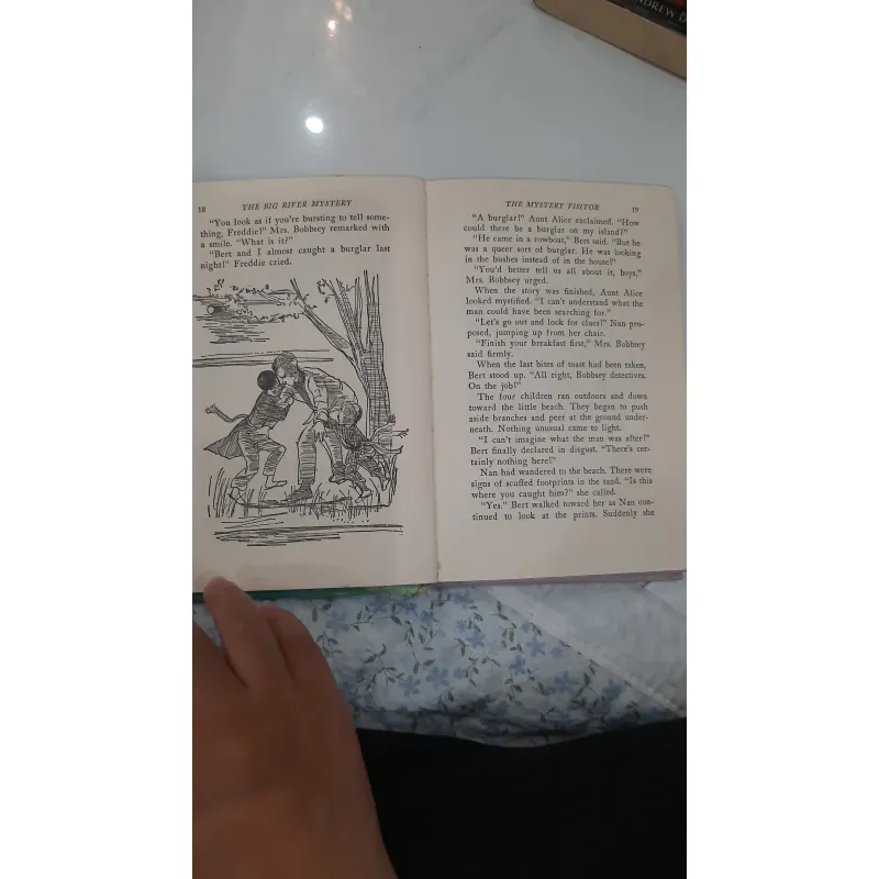 The bobbsey twins and the big rivers mystery 930936