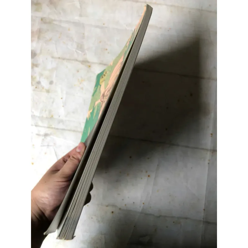 Tô Hoài - Nhà văn của mọi lứa tuổi 993926