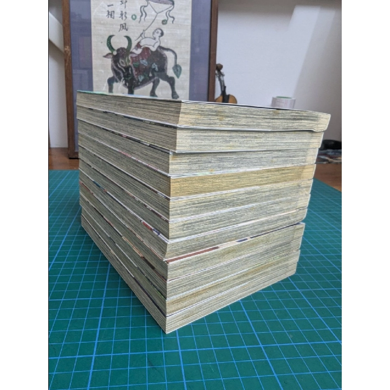 TRUYỆN TRANH Những chàng trai ở Lộc Phong Quán Trọn Bộ Full 11 cuốn 127079