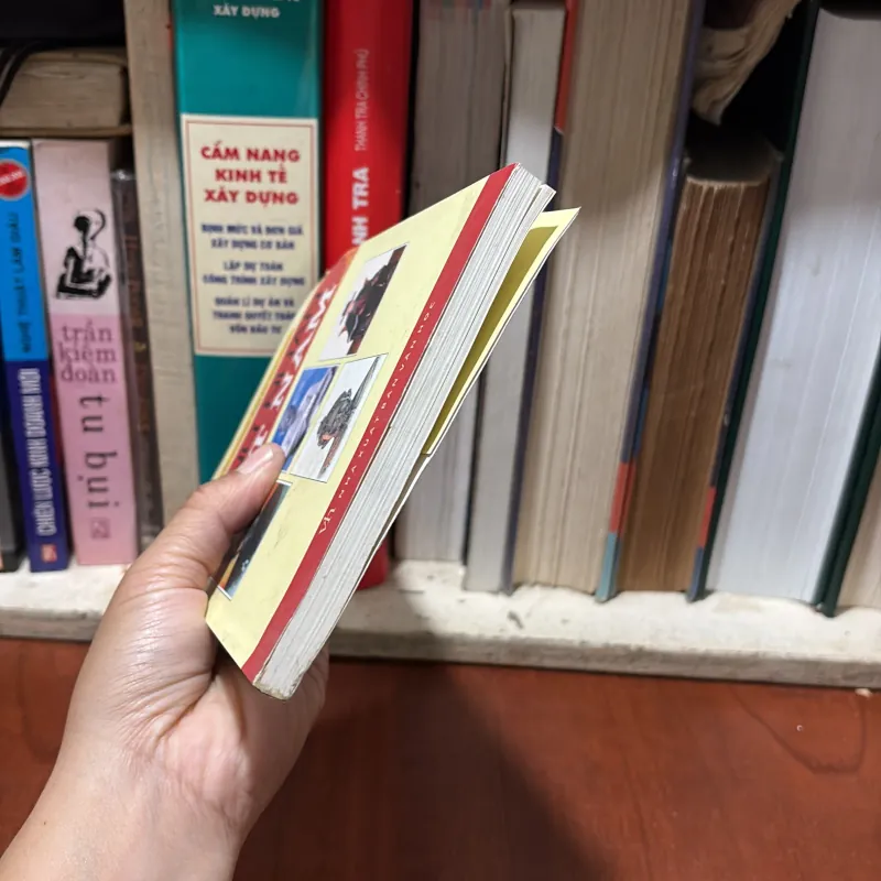 II Lịch Sử: Danh Nhân Việt Nam - Nguyễn Phương Bảo An - 2014 760699