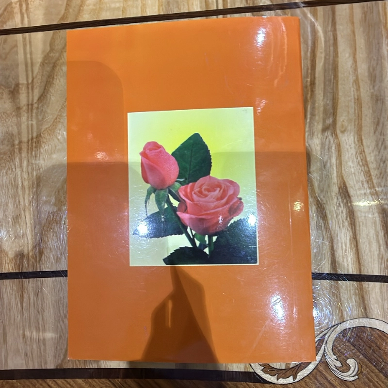 Kinh Vu Lan Báo Hiếu- Thích Huệ Đăng 463173