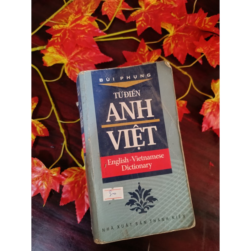 Từ Điển Anh Việt - nhỏ 195189