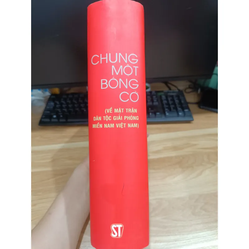 Chung một bóng cờ 930710