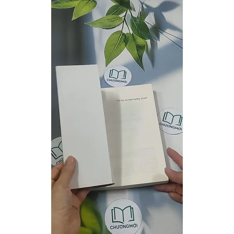 Trái tim em luôn hướng về anh - Diệp Tử 694937