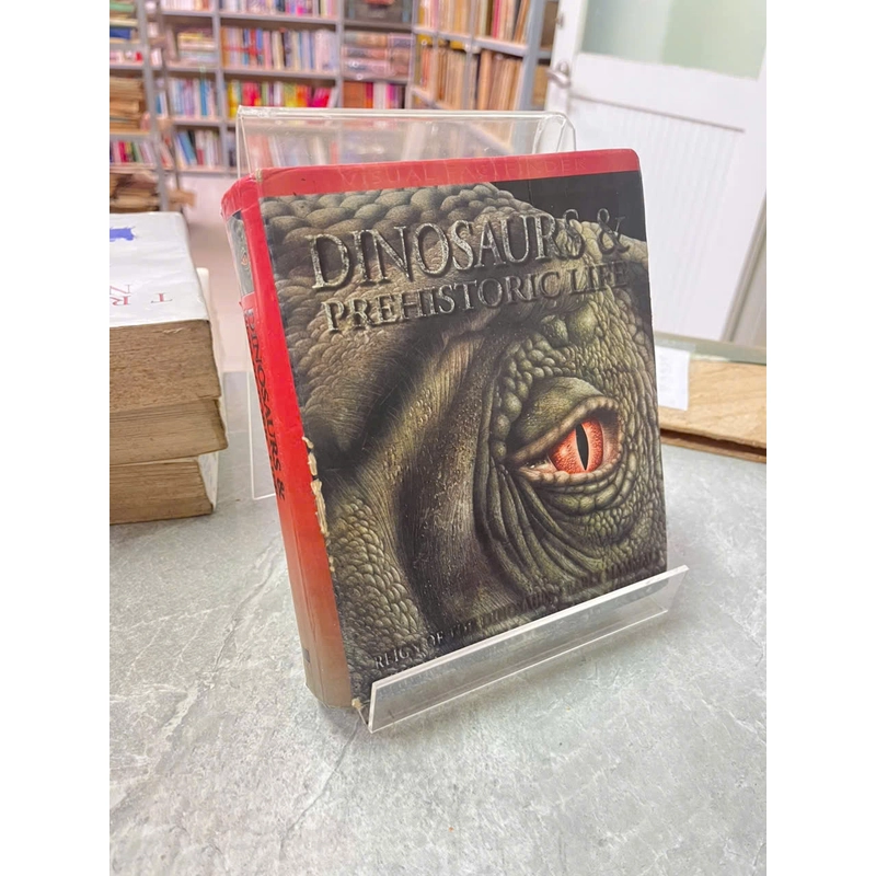 DINOSAURS&PREHISTORIC LIFE 539645