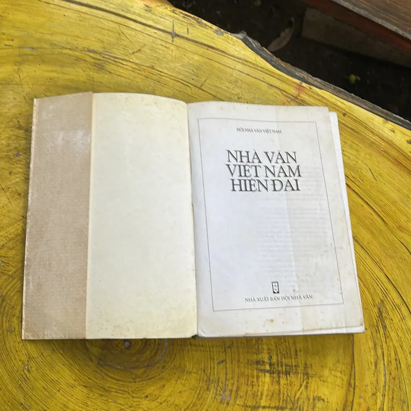 NHÀ VĂN VIỆT NAM HIỆN ĐẠI - BÌA MỀM 736274