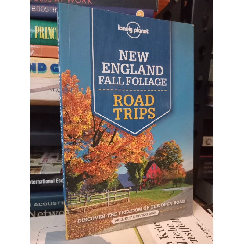New England Fall Foliage 448952