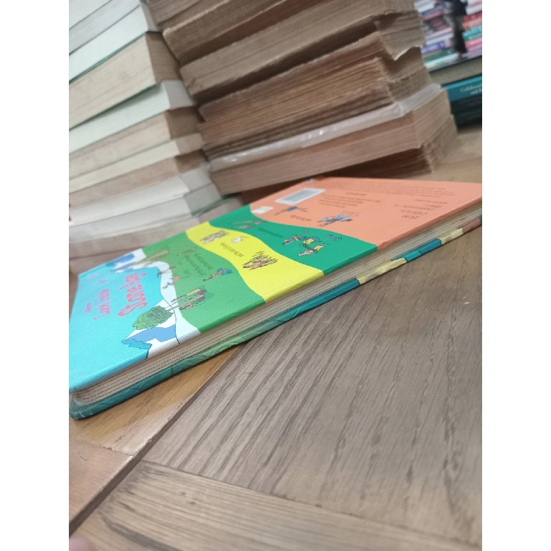 Look inside the stone age - Usborne 1029242