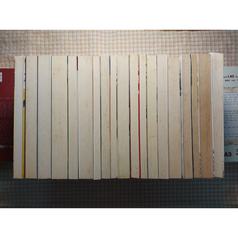 COMBO 32 CUỐN TỦ SÁCH KẸP HẠT DẺ 760554