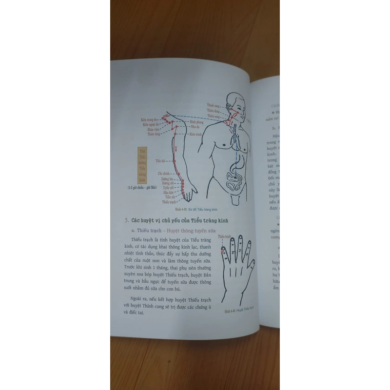 DƯỠNG SINH THÔNG KINH LẠC  517246