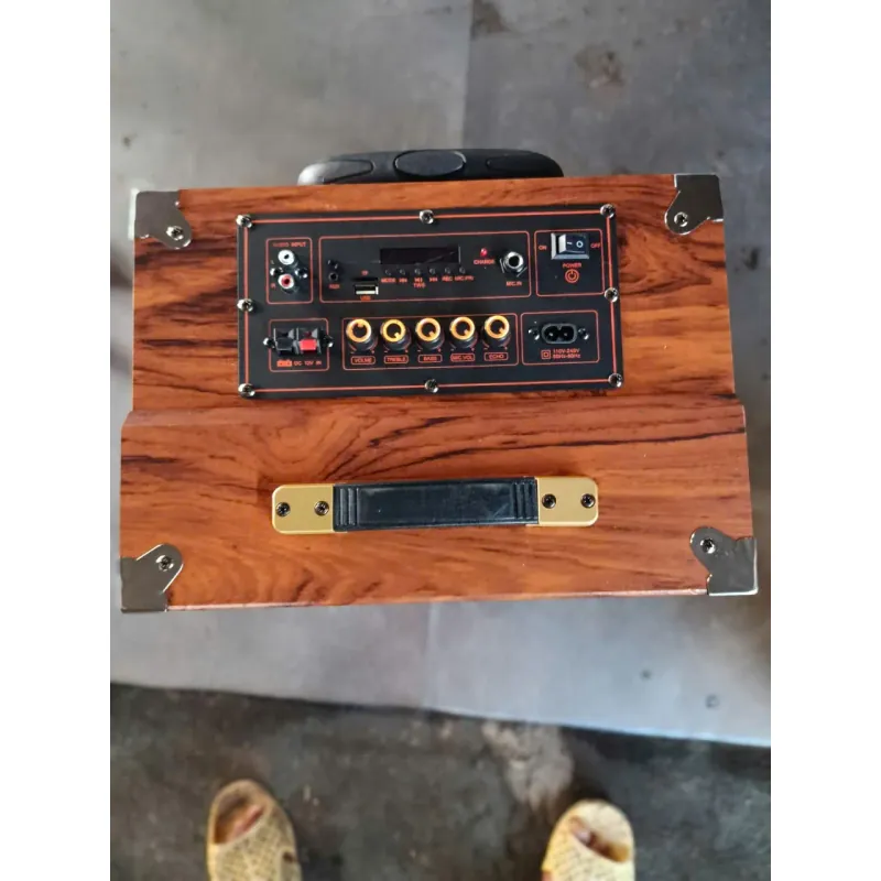 Loa kéo di động công suất lớn Mẫu OK9 gỗ thể thao 599672