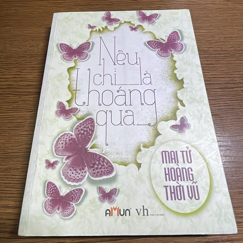 Nếu chỉ là thoáng qua Mai Tử Hoàng Thời Vũ 378250