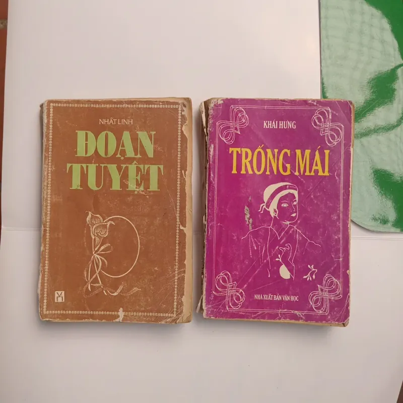 Combo 2 quyển Đoạn tuyệt và Trống mái 1020324