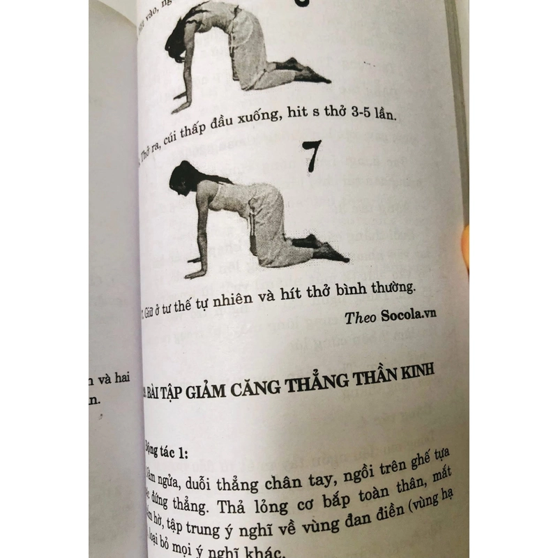 LIỆU PHÁP ĐẸP & KHOẺ ĐẾN TỪ YOGA 460447
