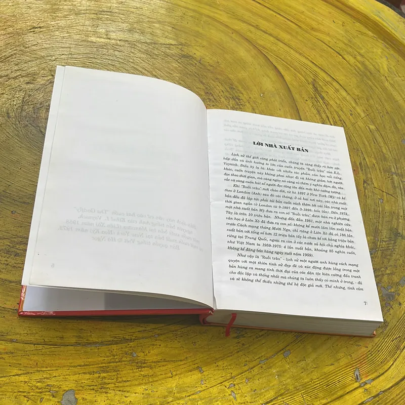 RUỒI TRÂU- ETHEL L. VOYNICH 599945