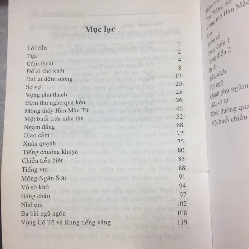 TRƯỜNG XUYÊN THI THOẠI 507494
