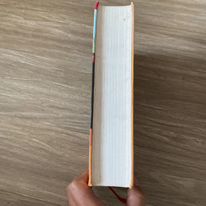 NỀN DÂN TRỊ MỸ, bản bìa cứng (XB 2008) 778416