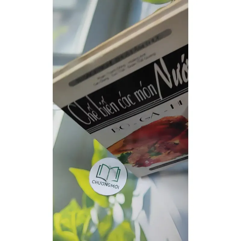 Combo Ẩm Thực: Món Ngon, Bánh Rán, Các Món Nướng 727320