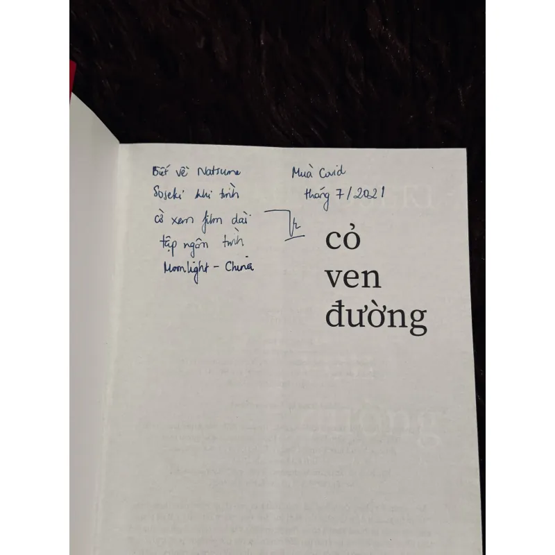 Cỏ ven đường 999175