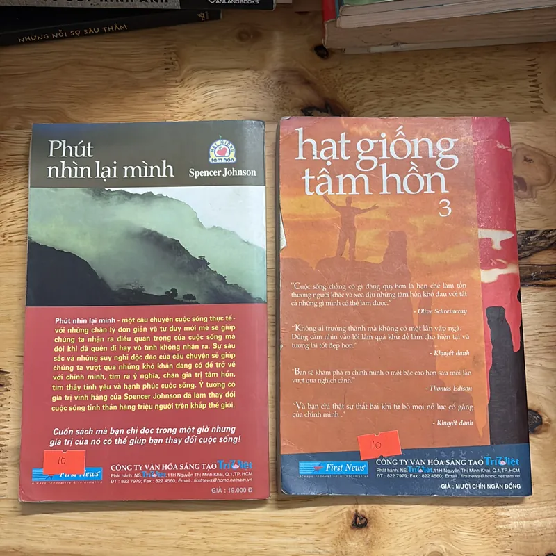 II Combo Sách: Phút Nhìn Lại + Hạt Giống Tâm Hồn _ Từ Những Điều Bình Dị 698018