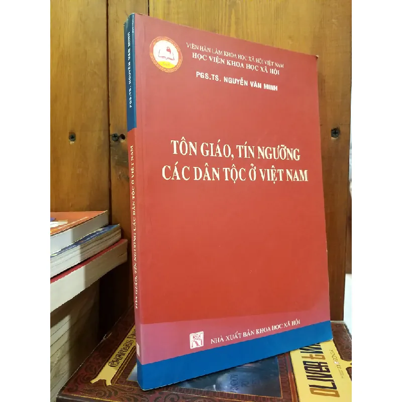 Tôn giáo, tín ngưỡng các dân tộc ở Việt Nam - PGS.TS. Nguyễn Văn Minh 702119