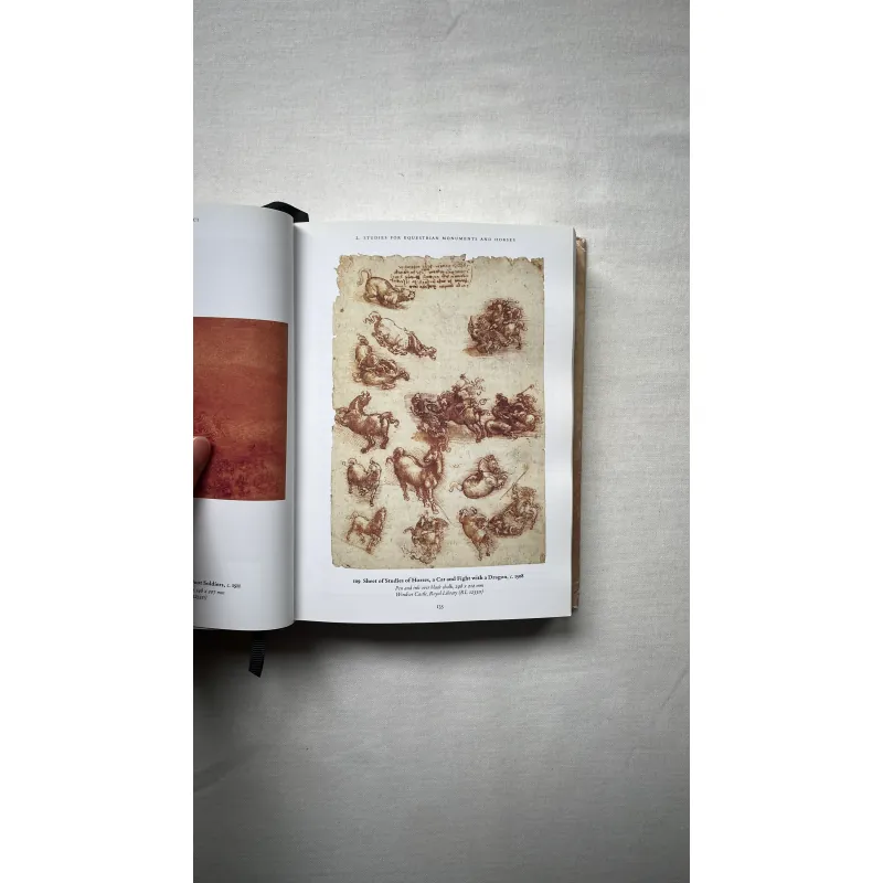 Leonardo Da Vinci 1028940