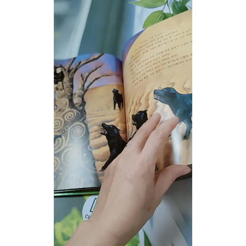 [Tặng nẹp góc] Truyện thiếu nhi Hàn Quốc: Moyamo Anu 24 -  모야모 아누와: 불행을 찾아간 원숭이;. 지혜의 열쇠 732017