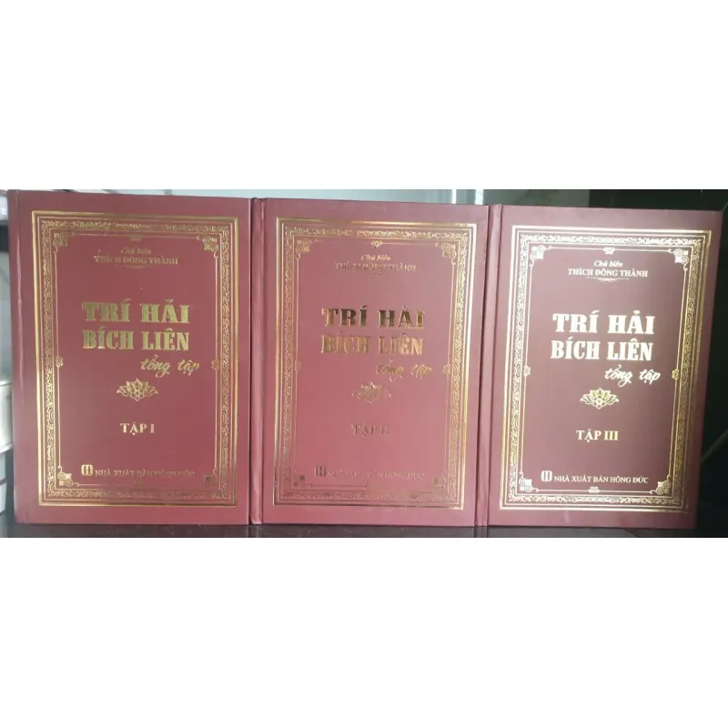 Bộ 3 cuốn Trí Hải Bích Liên tổng tập 704370