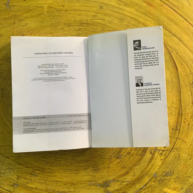  CHINH PHỤC CÁC ĐỢT SÓNG VĂN HOÁ - FON TROMPENAARS & CHARLES HAMPDEN-TURNER 991244