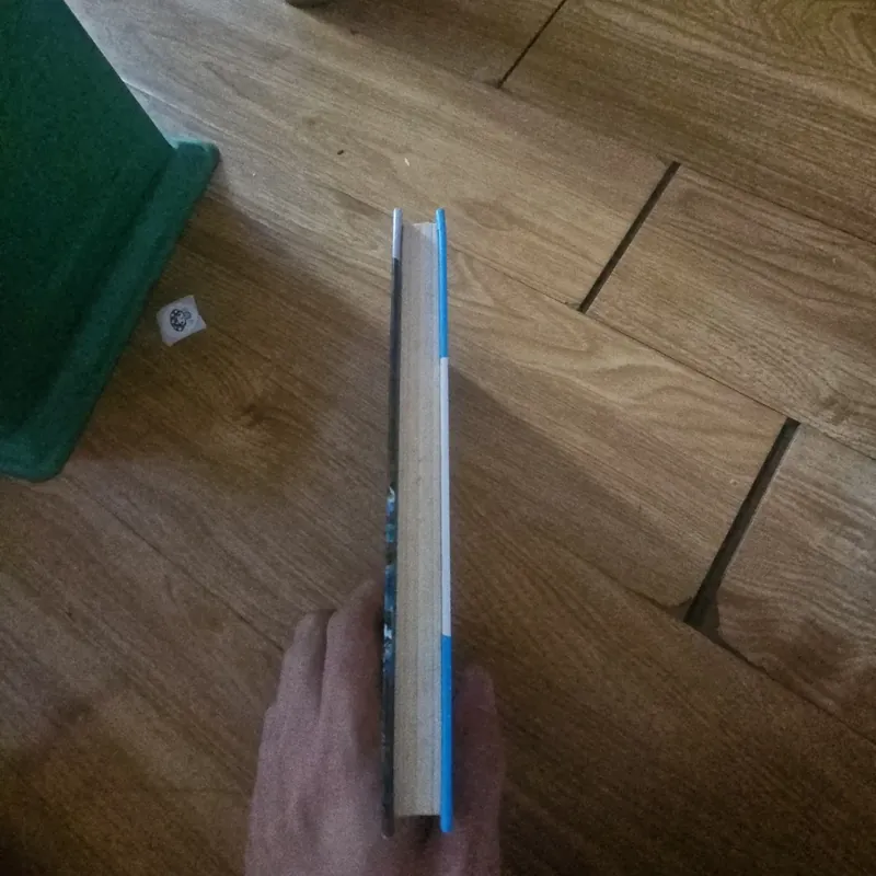 The Hardy Boy The Shore Road Mystery 6 (bìa cứng)Giá 20k  604002