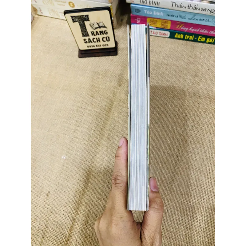 MÂY HOẠ ÁNH TRÁNG 692755