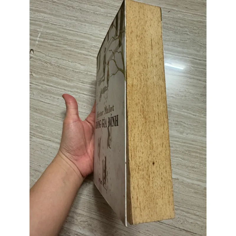 Sách Không Gia Đình 753722