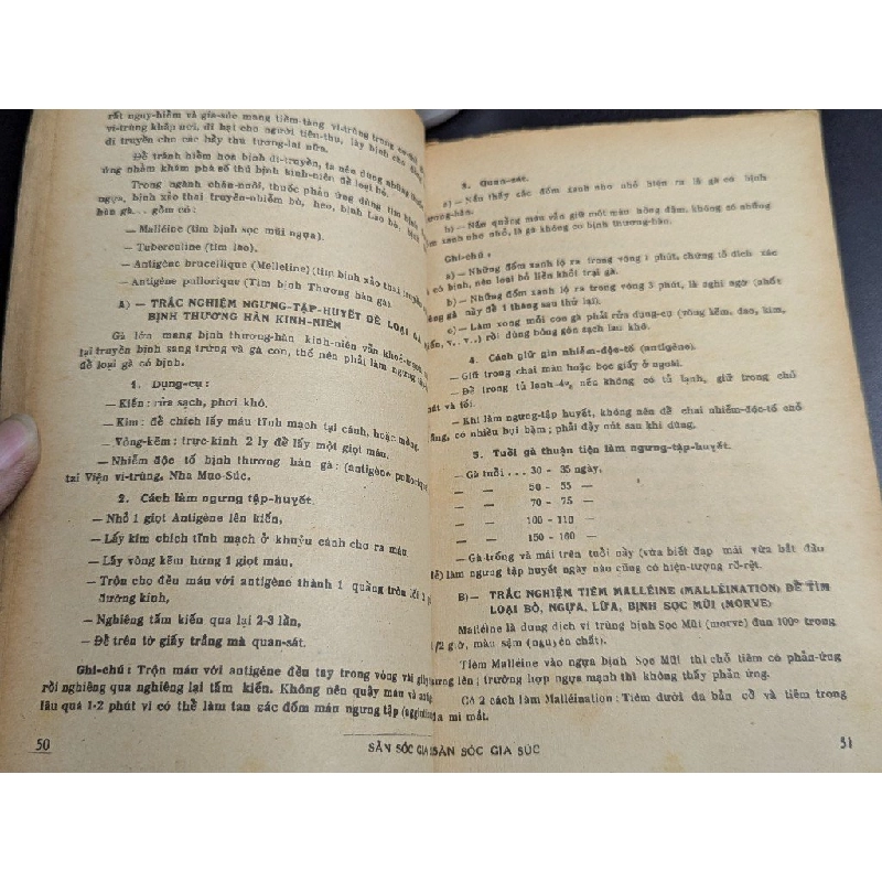 Săn sóc gia súc - Hồ Văn Giá 465304