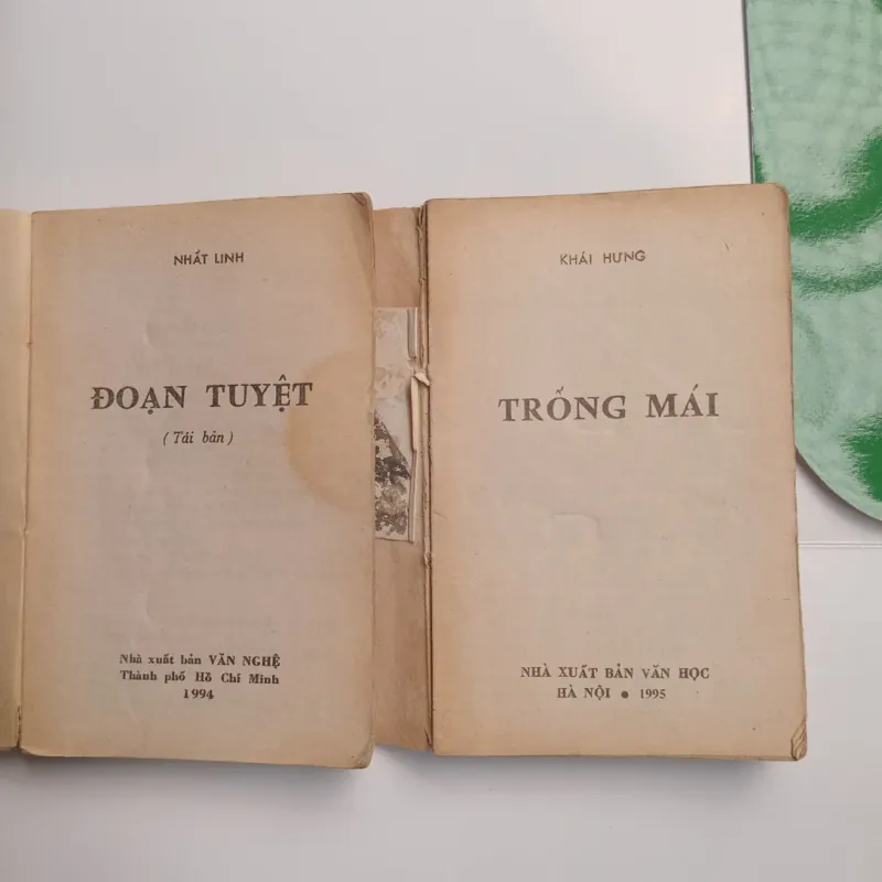 Combo 2 quyển Đoạn tuyệt và Trống mái 1020324