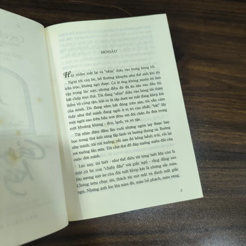 Cảm ơn ký ức - Cecelia Ahern (Thanks for the Memories) 1023264