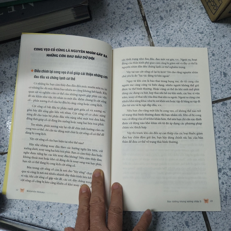 Bảo dưỡng khung xương chậu 518295
