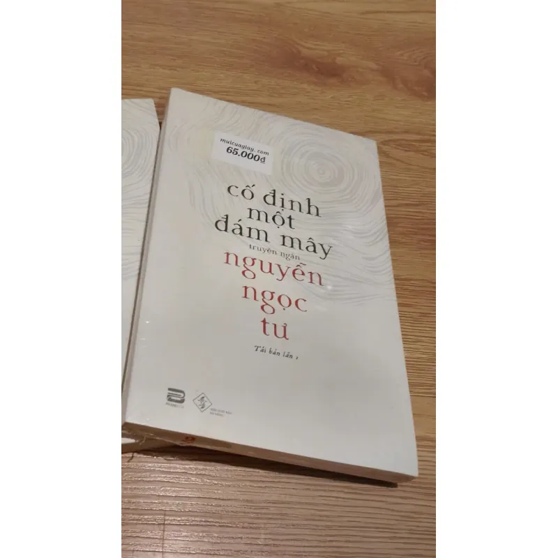 Cố định một đám mây - Nguyễn Ngọc Tư 689432