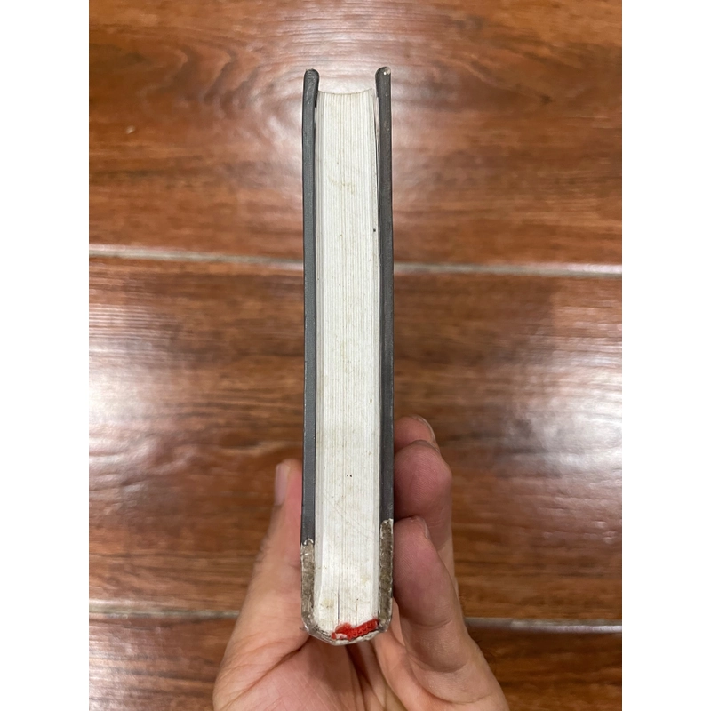Minh triết của giới hạn tiểu luận - Ngô Tự Lập (7) 522264