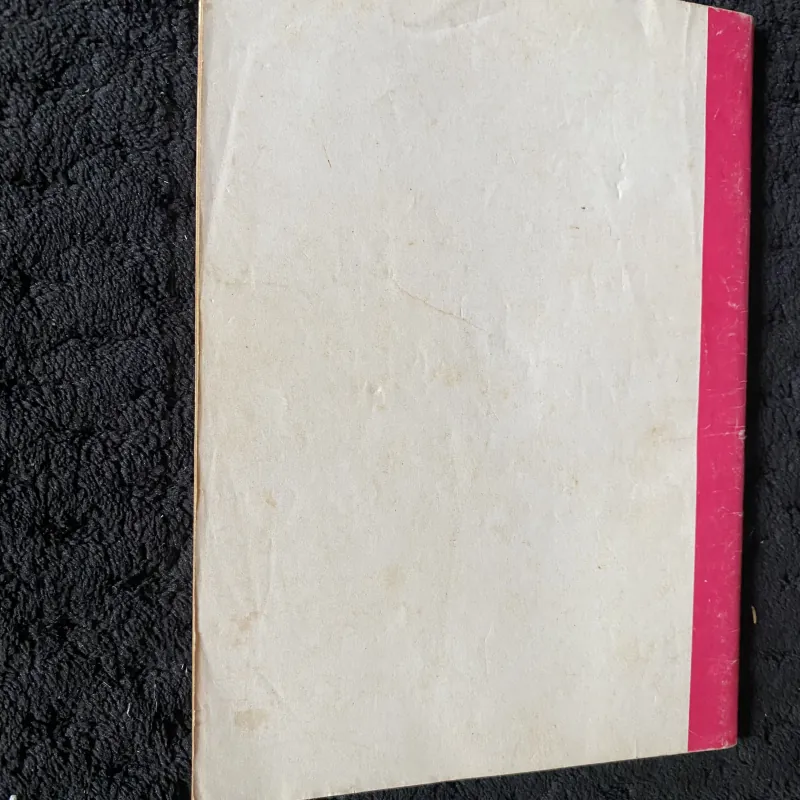 Tam Tông Miếu ( sách tự in ?) 1046000
