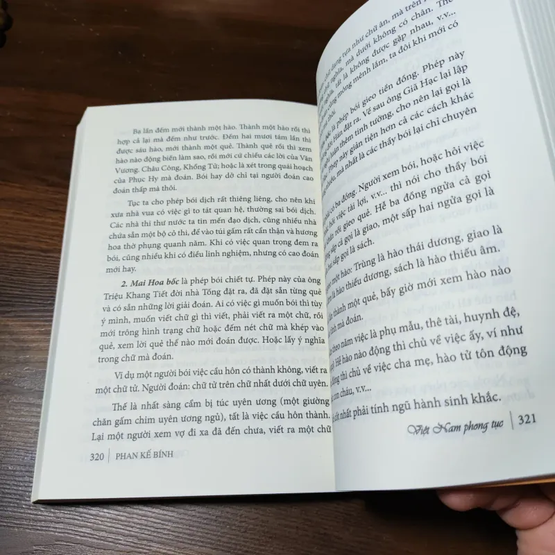 Việt Nam Phong Tục - Phan Kế Bính 1021139