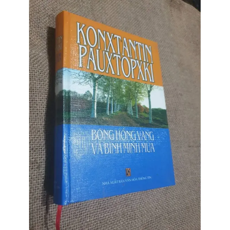 Bông Hồng vàng & Bình minh mưa  973482